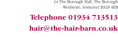 14 The Borough Mall, The Borough Wedmore, Somerset BS28 4EB  Te